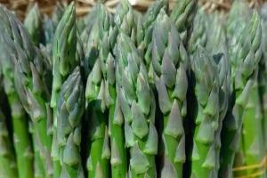 Сезон спаржі 2026 стартував