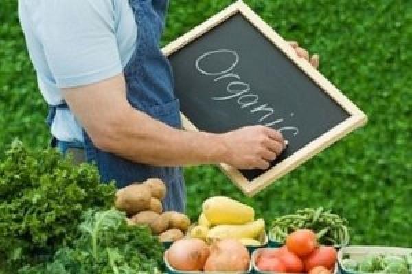 Запорізькі аграрії вирощуватимуть органічну продукцію