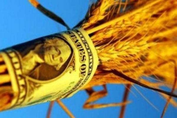 Україна експортувала 1 млн т зерна