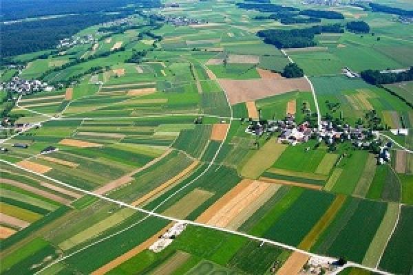 В Україні нераціонально використовується і охороняється земля — експерт