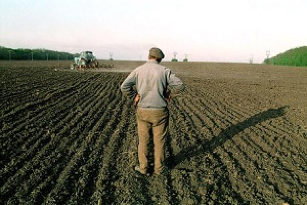Землею мають розпоряджатися дрібні фермери — думка