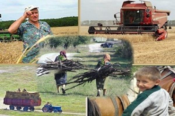 Розвиток села — одне з пріоритетних завдань для України – думка