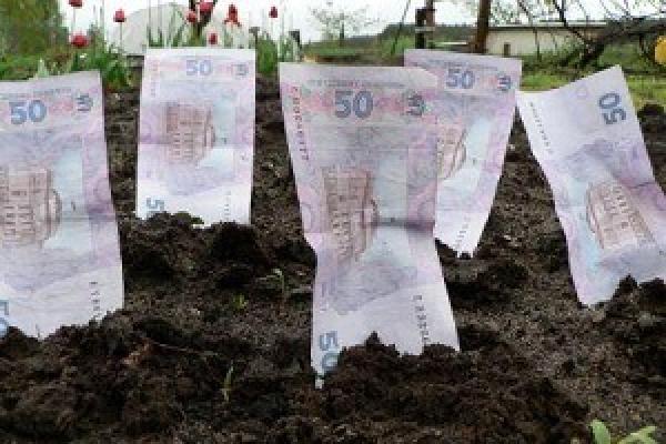 Сварог Вест Груп розробила проект для заробітку селян Хмельниччини