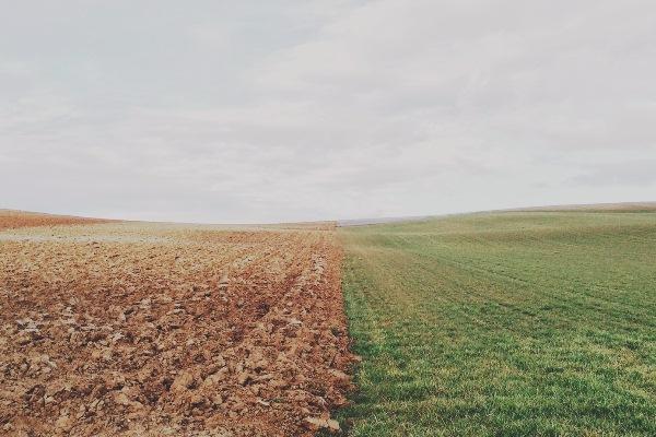 Депутати зареєстрували законопроект, що дозволить обійти мораторій на продаж землі