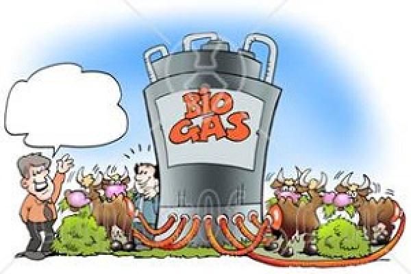 На Івано-Франківщині побудують біогазовий завод