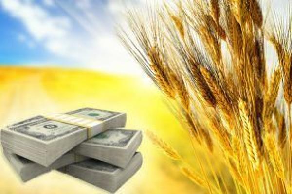 Відміна дозвільних процедур є шляхом до інвестиційної привабливості — Рутицька