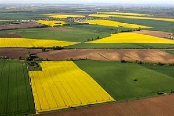 Роздержавлення ДП відбудеться на принципах розпаювання — Краснопольський