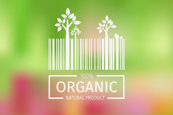 Органічна продукція може стати візитною карткою України