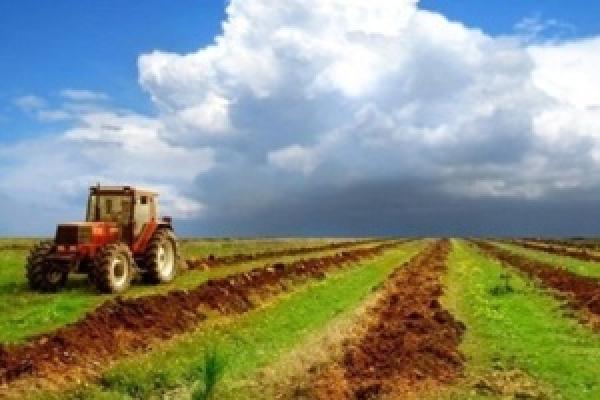 КМУ вважає, що приватизація дасть змогу повернути кошти до держбюджету і залучити додаткові інвестиції