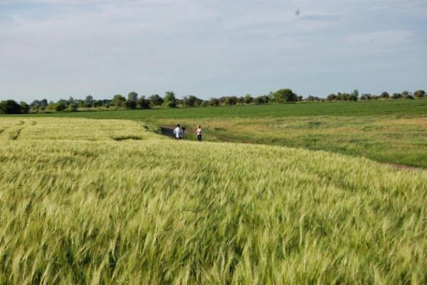Рівненщина – одна з областей із найвищою ціною за паї