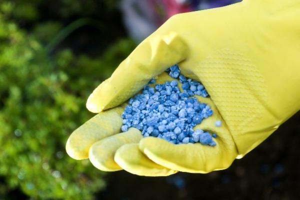 Наразі сільськогосподарські підприємства закупили 18,0 тис. т  фосфору