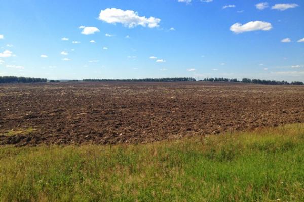На Львівщині учасники АТО та їх сім`ї отримали у власність 4,047 тис. земельних ділянок
