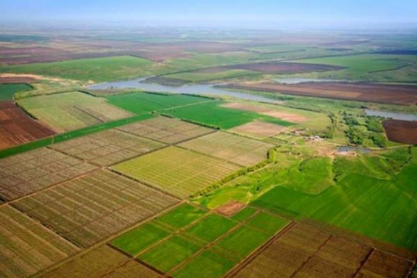 За підсумками торгів орендарі щорічно сплачуватимуть до бюджетів місцевих громад 515,4 тис. грн