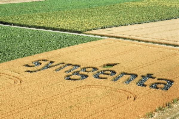Китай у процесі придбання Syngenta