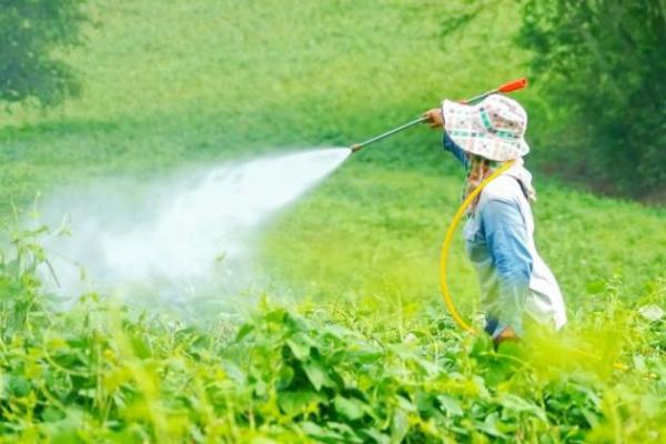 Генерики здобувають довіру аграріїв