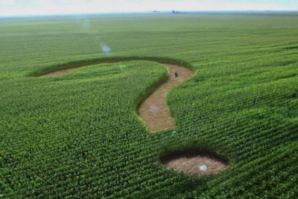 Аграрії Волині просять відновити спецрежим ПДВ