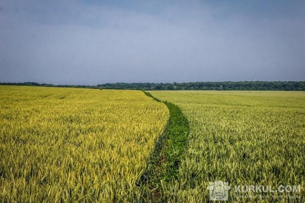 Минулого року в області на земельних торгах продали права оренди 185 земельних ділянок