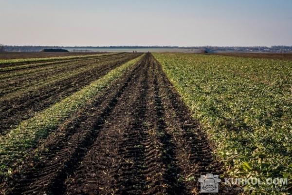 Падіння ціни спричинило попит на землю