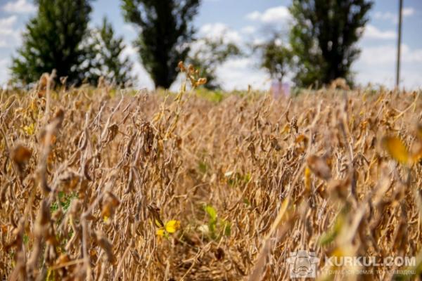 Ця цифра обумовлена ​​відчутним зростанням в Америці цін на сою