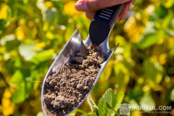 Більш сухі вітри та зміна їх напрямку призводять до того, що в останні роки різко падає рівень гумусу на полях