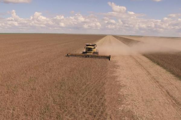 Комбайн New Holland CR8.90 під час встановлення рекорду