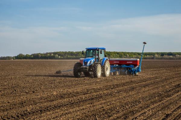 Посів ранніх зернових та зернобобових культур завершено на площі 100,1 тис. га