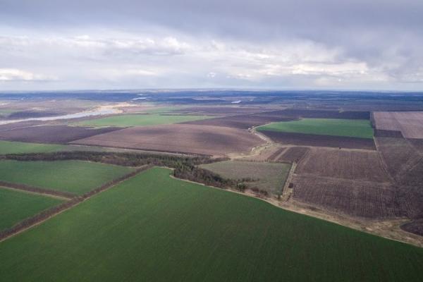 За чи проти відкриття ринку землі? 