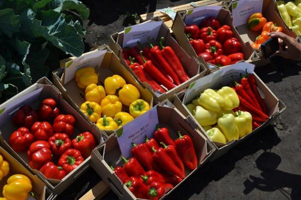Херсонські овочівники викидають не продану продукцію