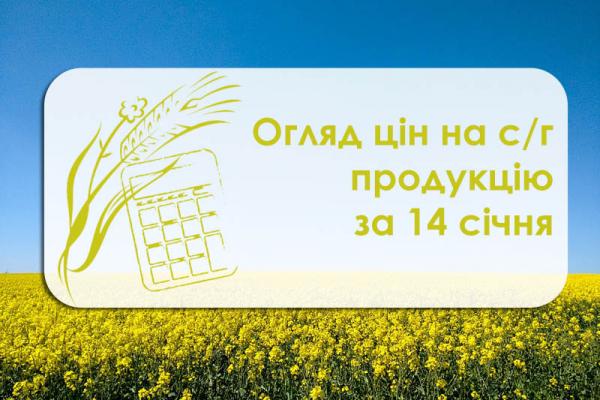 Огляд цін на с/г продукцію станом на 14 січня