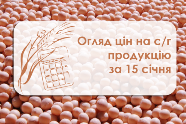 Огляд цін на с/г продукцію за 15 січня
