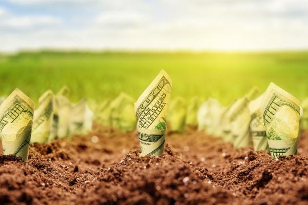 У 2019 році не буде продажу землі
