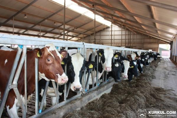 Відкрито два центри ветеринарного супроводу на Сході України