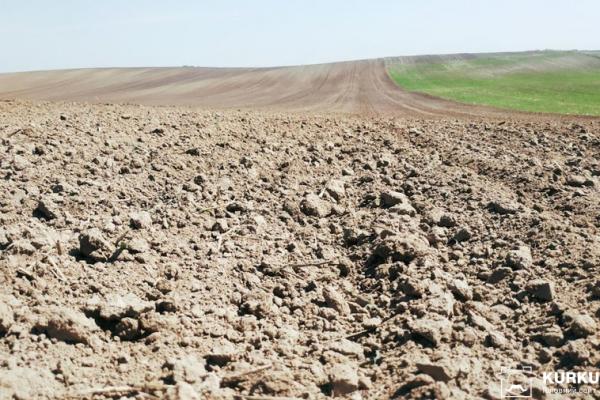  Найвища вартість оренди зафіксована на Кіровоградщині