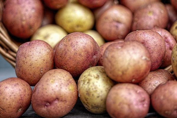У наступному році на картоплю чекає обвал ціни