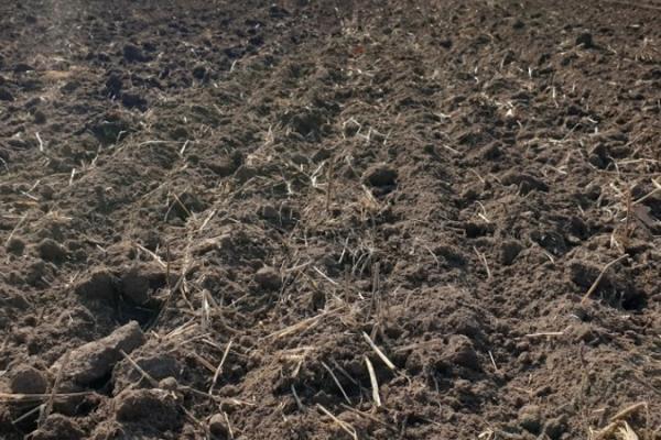 Стало відомо, як зміниться земельний законопроект до другого читання 