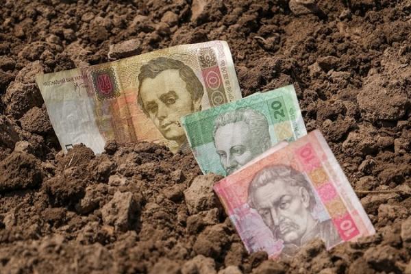 Оприлюднено найбільш інвестиційно-привабливі регіони агросектору