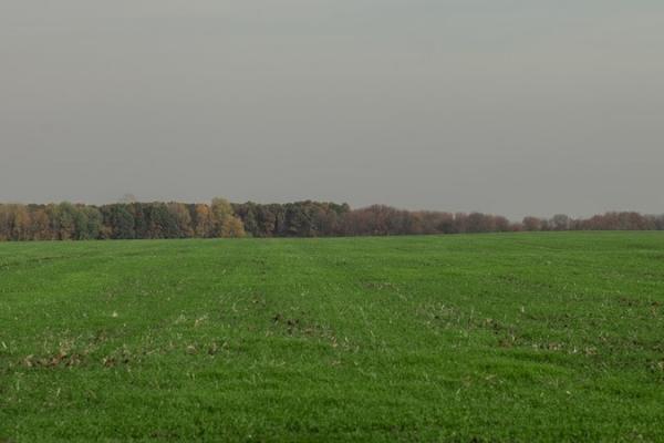 Держгеокадастр змінить методику підрахунку нормативної грошової оцінки землі