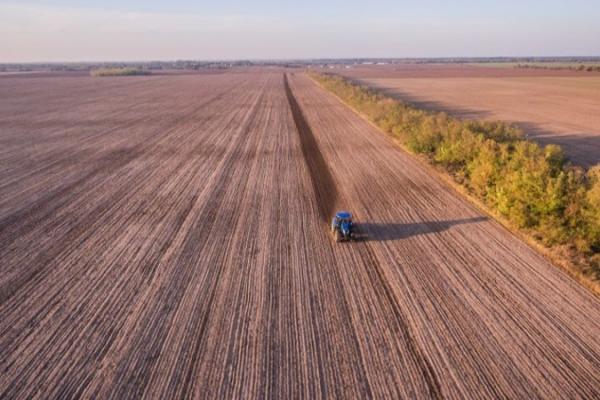 У Мінекономіки назвали оптимальний ліміт концентрації землі в одних руках
