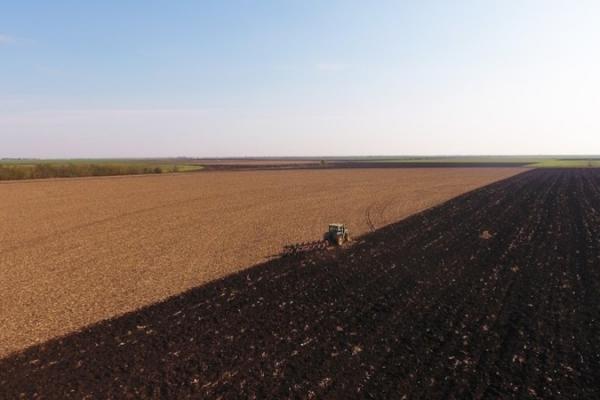 Розгляд закону про ринок землі можуть відкласти на наступний рік — Слуга народу