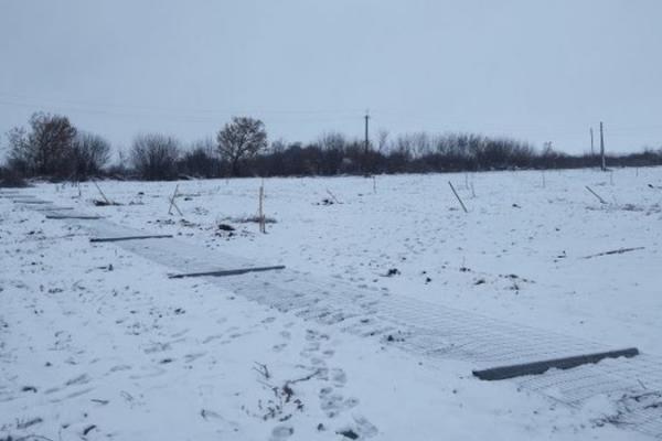 Фермери запропонували винагороду за інформацію про знищення саду