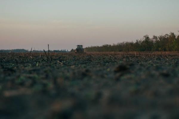 Милованов повідомив, коли іноземці отримають доступ до української землі