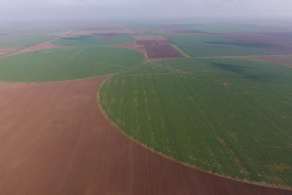 Держгеокадастр назвав точну кількість сільськогосподарських земель державної власності