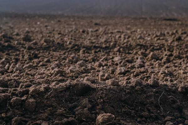 Земельний законопроект підготували до другого читання