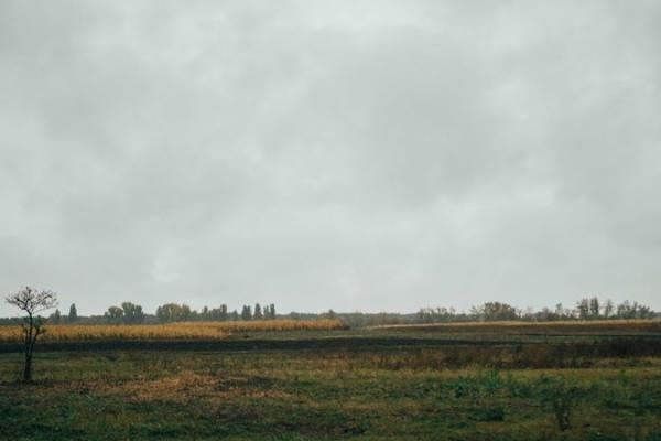 В Україні можуть підвищити податок на землю