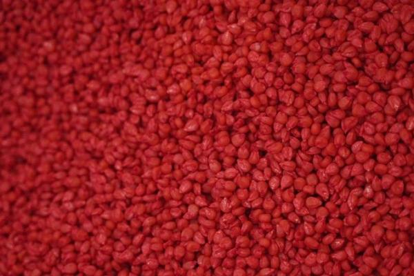 АБА АСТРА пропонує насіння кукурудзи KWS зі знижкою 40%