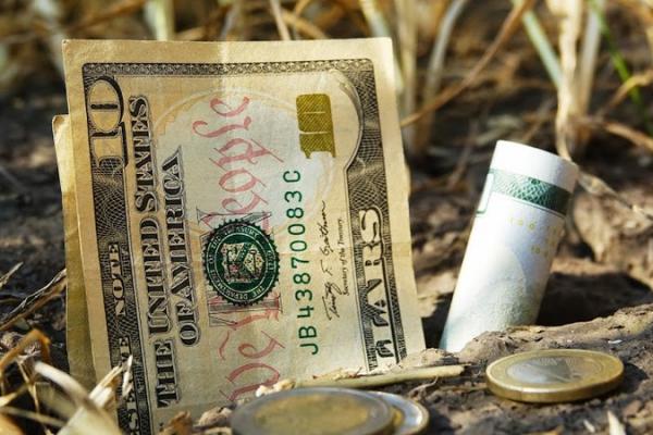 ЄС виділить Україні €25 млн для підтримки малих фермерів 