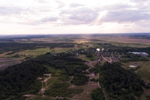 Аграріям розповіли про реальні наслідки вільного ринку землі