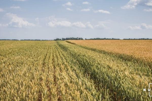 За два роки невитребувані паї перейдуть у власність держави
