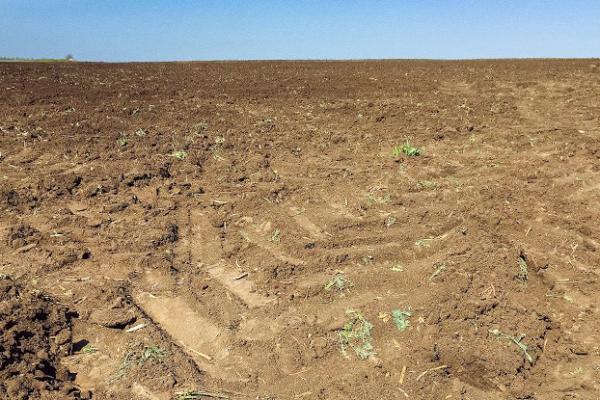 Названо найдієвіші способи покращити стан грунтів