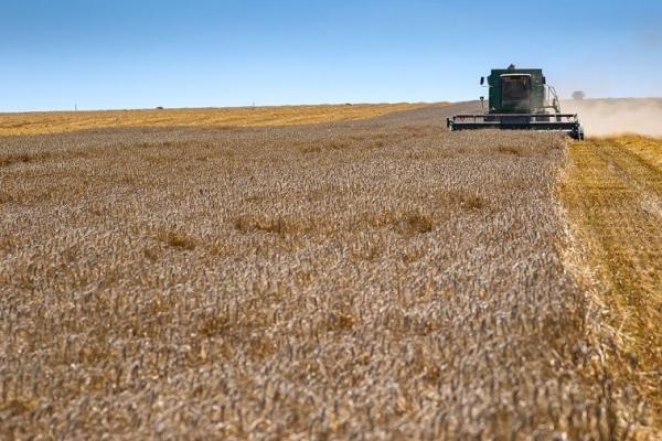 Озвучили перші результати жнив на Львівщині 